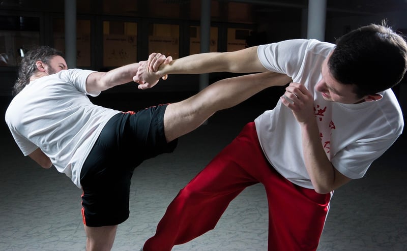 Kung Fu Fighter